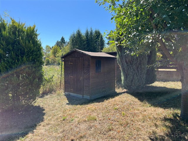 foto 20 [15/22]