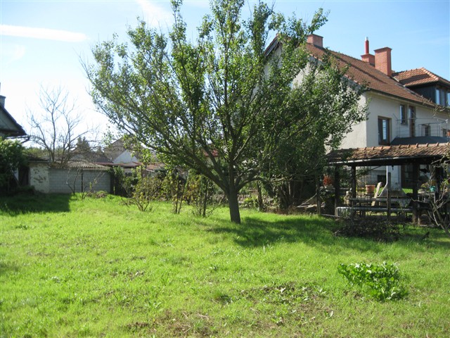 foto 29 [29/30]
