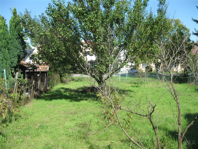 foto 28 [28/30]
