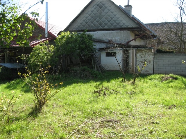 foto 27 [27/30]